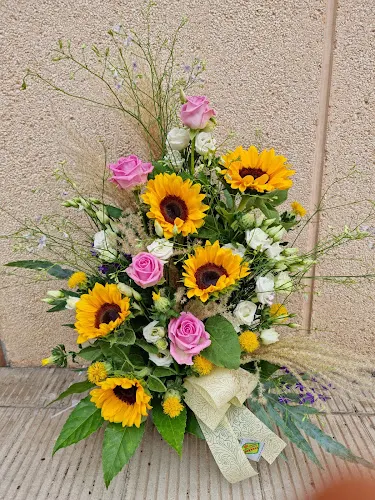 Plantes i Flors Nino - Valls