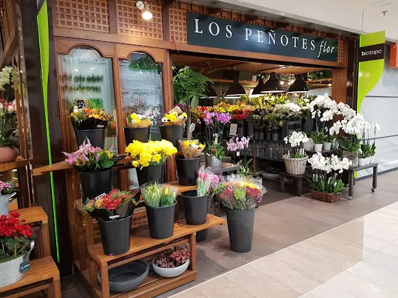 Floristería Verdecora CC Carrefour Alcobendas - Alcobendas