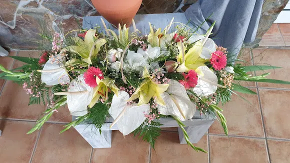Floristería Mary - Granadilla de Abona