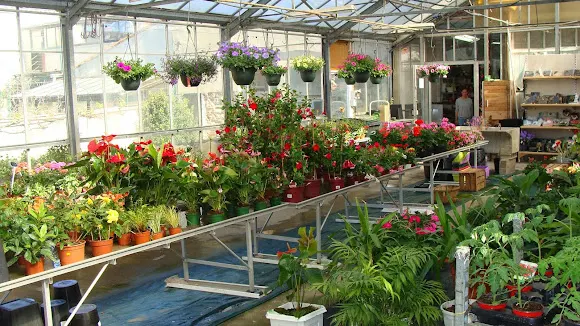 Floristeria “Fleurs et Nature”