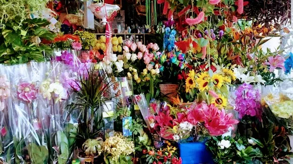 BW Home & Flower - Santa Cruz de Tenerife