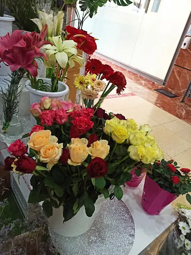 Floristería Vallejos - Santa Cruz de Tenerife