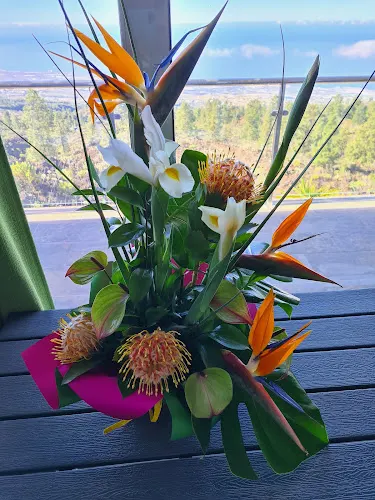 Floristería Nidia - Guia de Isora