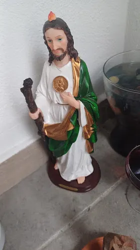 Floristería los Jardinitos - Los Silos