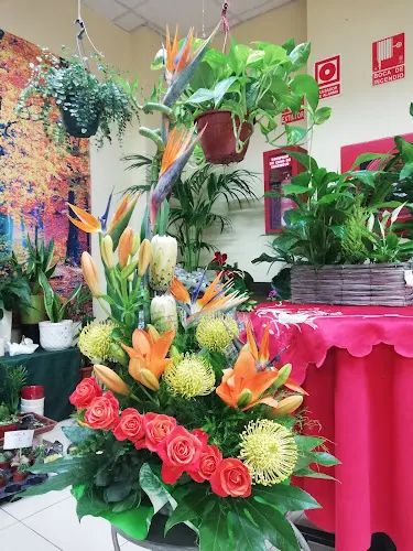 Tulipan Floristeria - Adeje