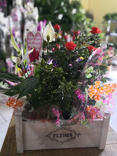 Floristería Kentia Sur - Guia de Isora
