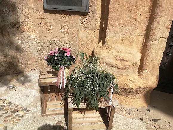 Flores Primavera - Villanueva de Alcardete