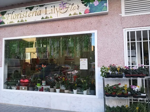Floristería Lily Flor - Arges