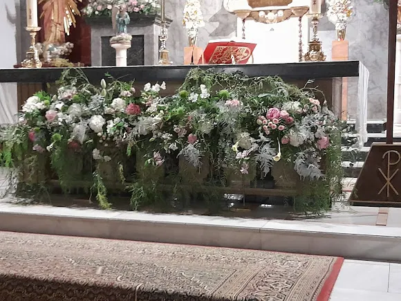 Floristería - El sueño de Ceres - Cebolla