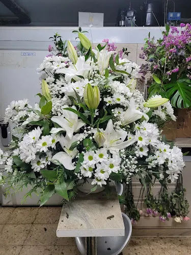 Floristería Estrella Polar - Madrid