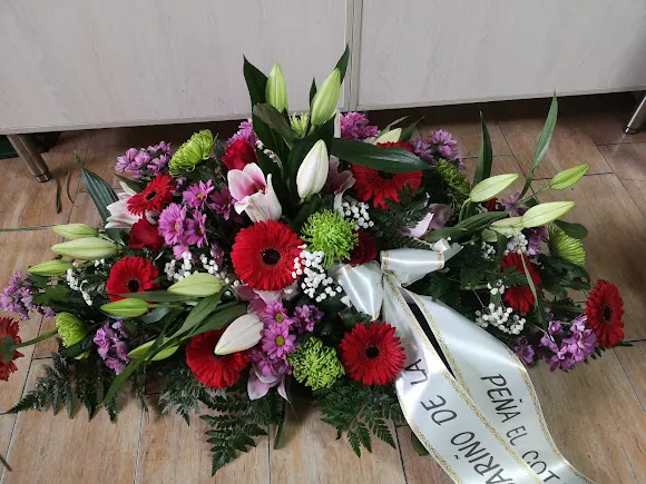 Floristería Carmen - Carinena