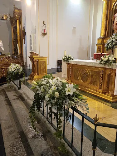 Gonzaga Floristas - Bargas