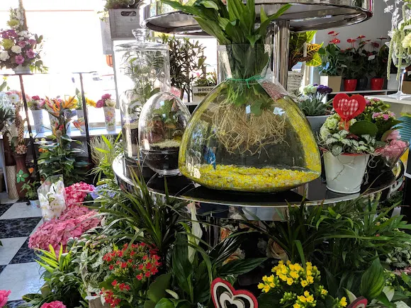 Flores y Plantas Loli - Toledo