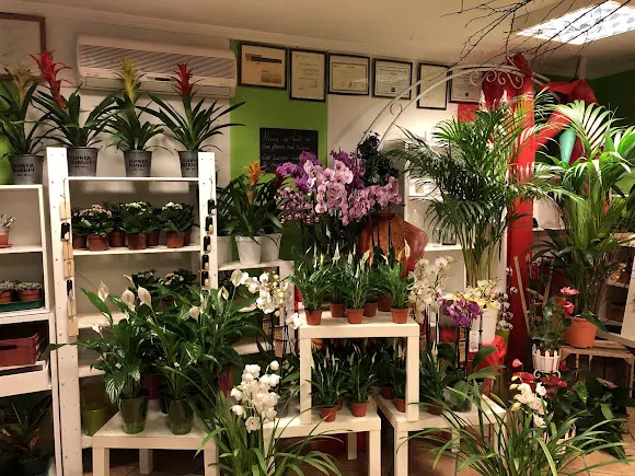 Floristeria Vicente - Ocaña