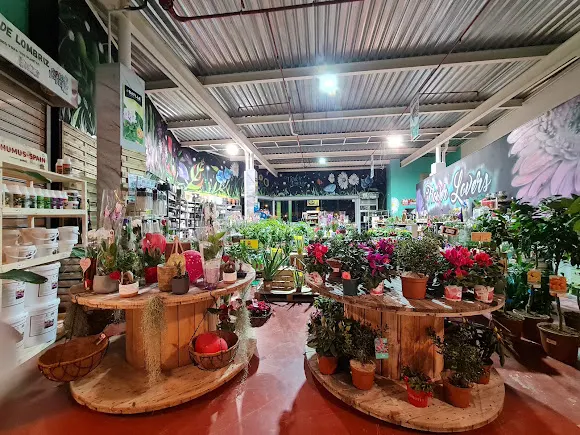 Flower lovers - Olias del Rey