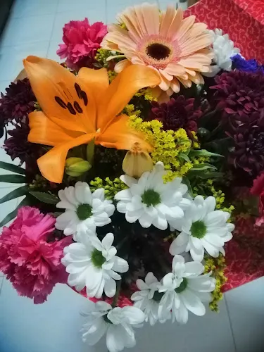 Adolfo Floristas - Olias del Rey