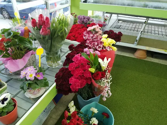 Floristería Alex Seseña y el Quiñon - Sesena