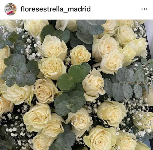 Flores Estrella - Madrid