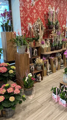 La Fontana Arte Y Diseño Floral - Torrijos
