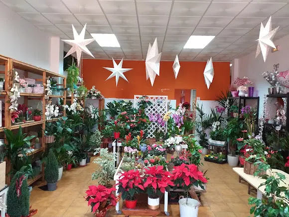 Floristería Alonso - Illescas