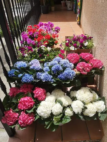 Floristería "La Andaluza" - Noblejas