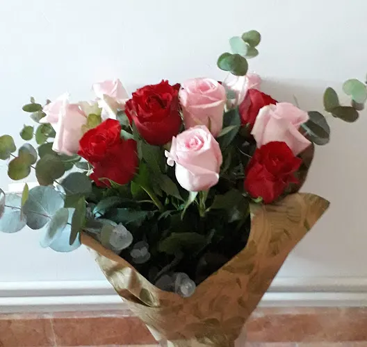 Flors Isabel - Almussafes