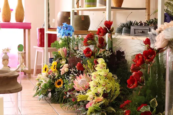 Andrómeda. Floristería Creativa.