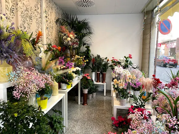 Floristería Isabel - Alboraya