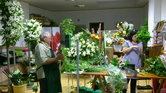 Floristería Vicente Rosa - Benifaio