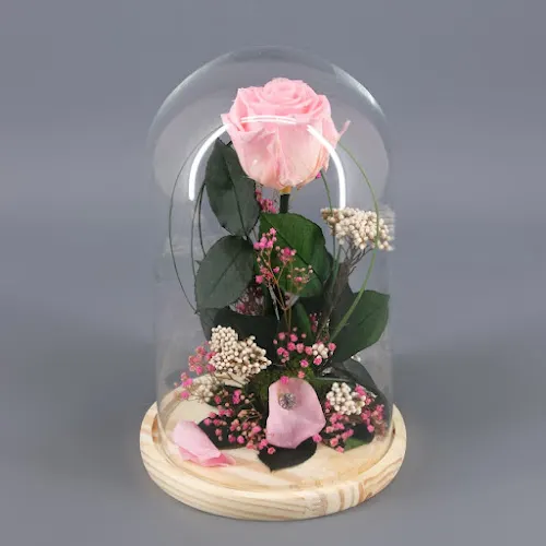 Flors Amparo