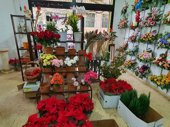 Flors la Caseta