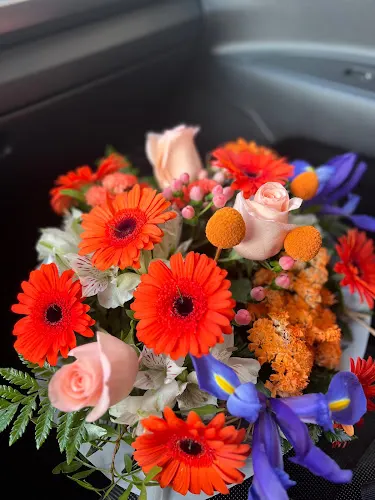 Flors Lola - Albal