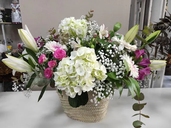 Floristería Quico Moret - Xirivella
