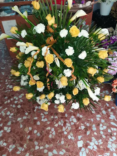 Floristeria mimosa - Cullera