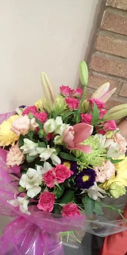 Floristería Eloisse