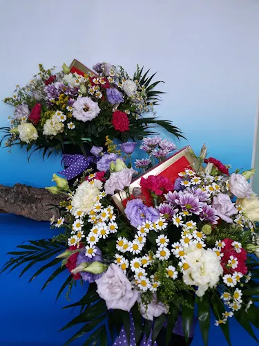 Floristería Silvani