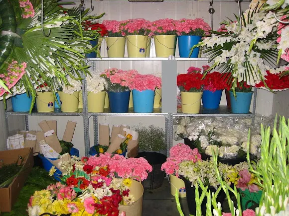 Flores Bizkaia - Leioa