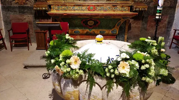 Floricultura Castilla - Zamora