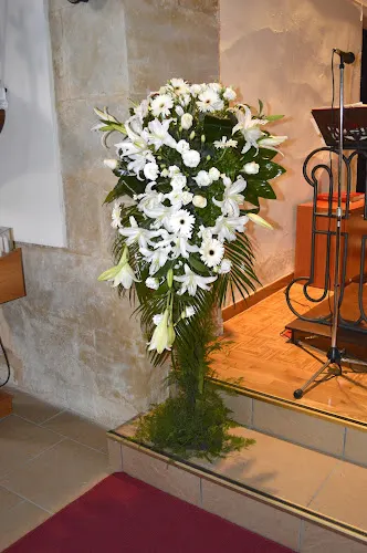 Flores del Duero - Zamora