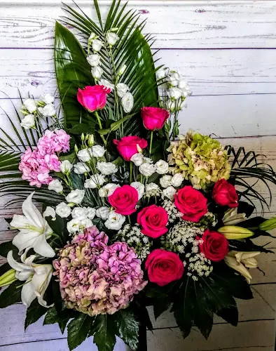 La Tienda de las Flores - Zamora