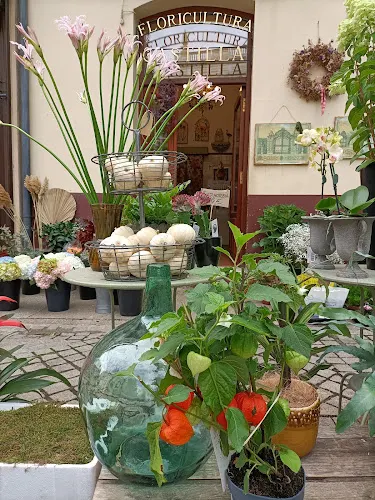 Floricultura Castilla - Zamora