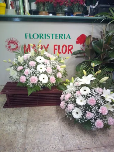 FLORISTERÍA MARY FLOR - Toro
