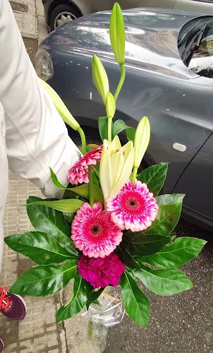 FLORISTERIA MIGUEL - Zamora