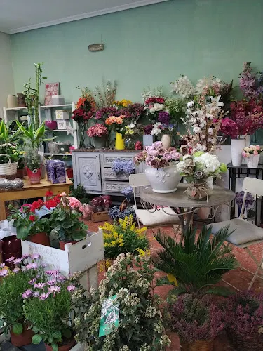 Floristería Flor de Lis - Zaragoza