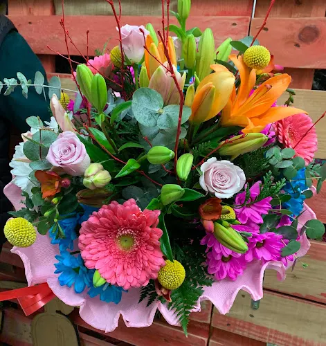 FLORES MARTA - Zamora