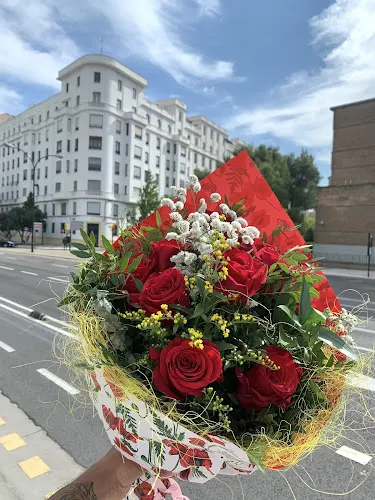 Akalia Floristería Zaragoza - Zaragoza