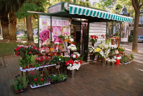 Siete Flores - Zaragoza
