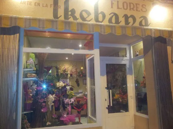 Floristería Ikebana - Pedrola