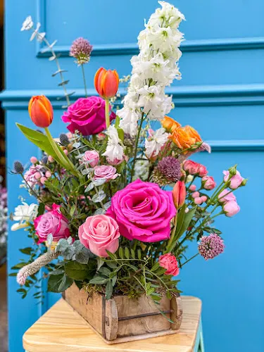 Floristería El Buen Jardinero - Zaragoza