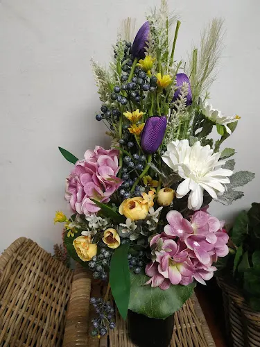 Floristería Tikoplax - Zaragoza